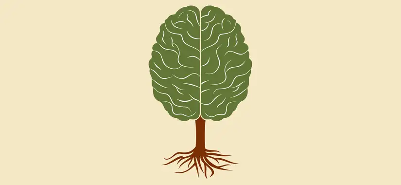 Growth Mindset - det är aldrig försent att anamma ett tänkesätt som tillåter dig att växa som människa