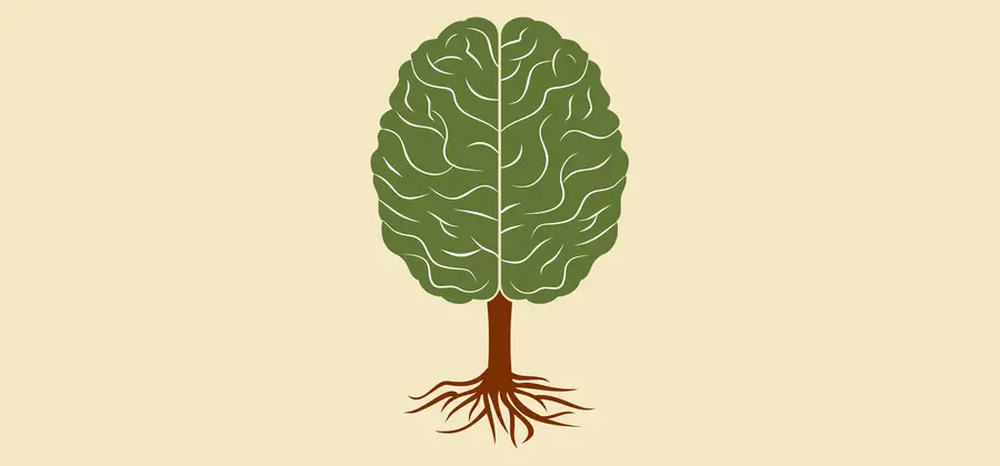 Growth Mindset - det är aldrig försent att anamma ett tänkesätt som tillåter dig att växa som människa