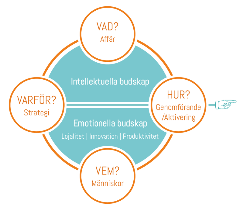 Content Management Modellen