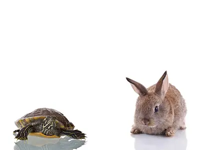 Fördjupa medvetandeträningen och öva på att lyssna - för att förstå ditt eget och andras bästa.
