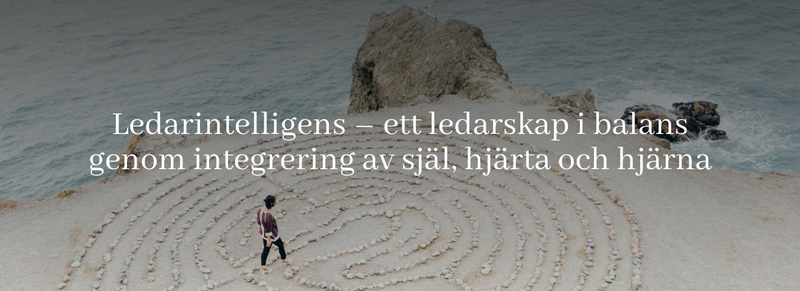 Ledarintelligens – ett ledarskap i balans genom integrering av själ, hjärta och hjärna