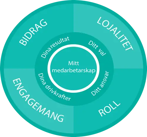 Medarbetarskap