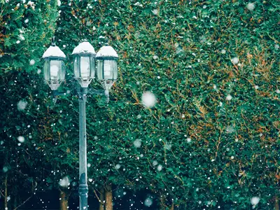 Vem minns inte fantasyserien Narnia av författaren C.S. Lewis?