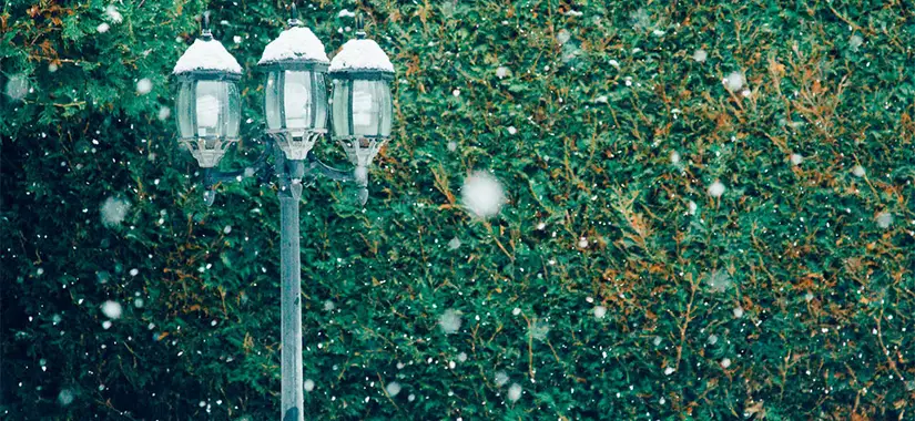 Vem minns inte fantasyserien Narnia av författaren C.S. Lewis?