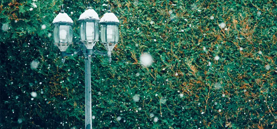Vem minns inte fantasyserien Narnia av författaren C.S. Lewis?