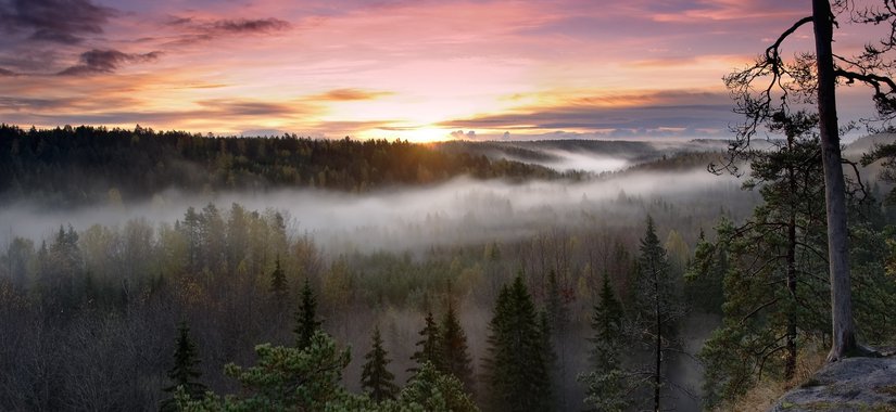 Jag tror på att ge livet möjligheten att överträffa mina vackraste drömmar och högsta förhoppningar.