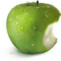 Goda ledare söker vishet