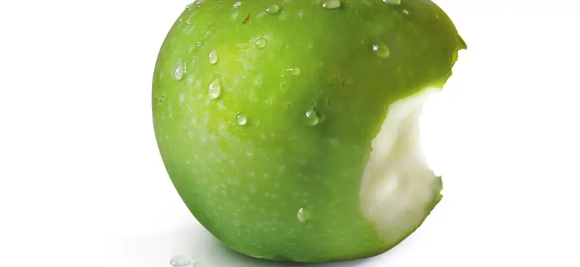 Goda ledare söker vishet