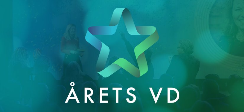 Årets VD 2021 delas ut i i fyra kategorier: små, medelstora, stora bolag samt i kategorin Årets Unga VD.
