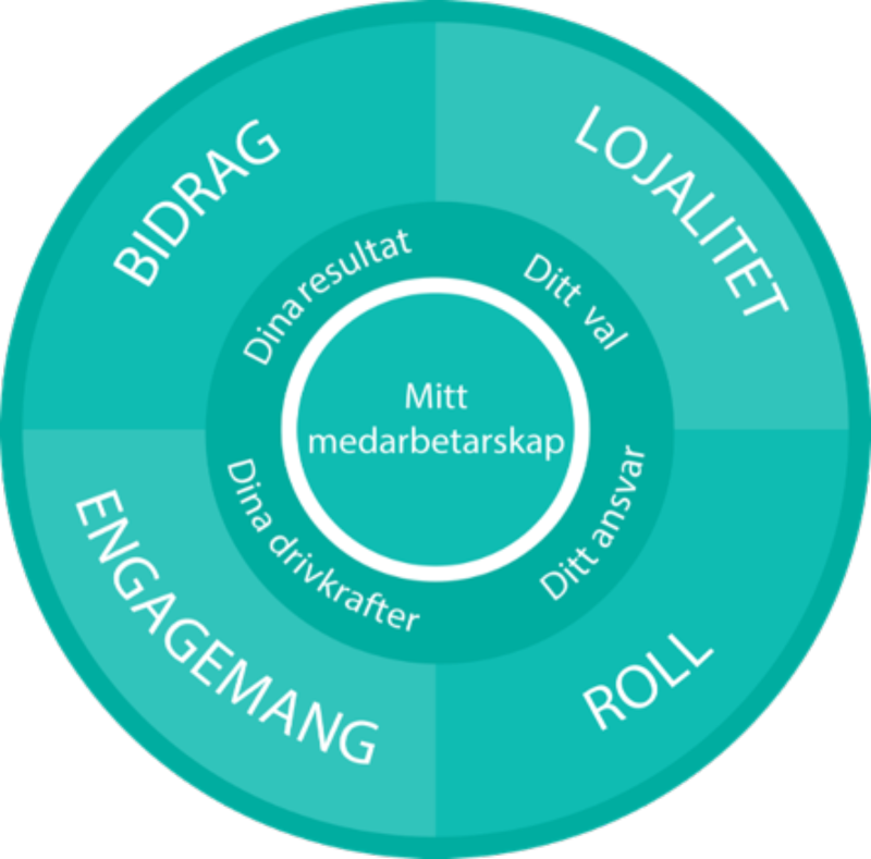 Bidrag, Lojalitet, Engagemang och Roll