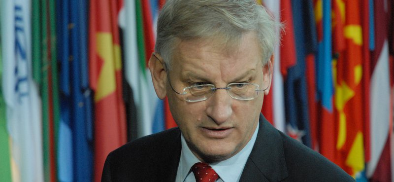 Carl Bildt, Politiskt ledarskap, Ledarskap