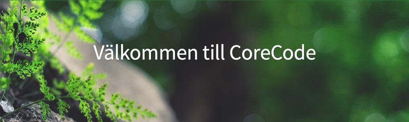 Vi på CoreCode skapar mötesplatser för lärande och förändring genom anpassade uppdrag och öppna utbildningar. Vi vill att ni ska nå era affärsstrategiska mål och forma långsiktigt välmående organisationer.