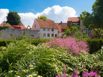 Almedalen: Hur ska du lyckas i paneldebatten?