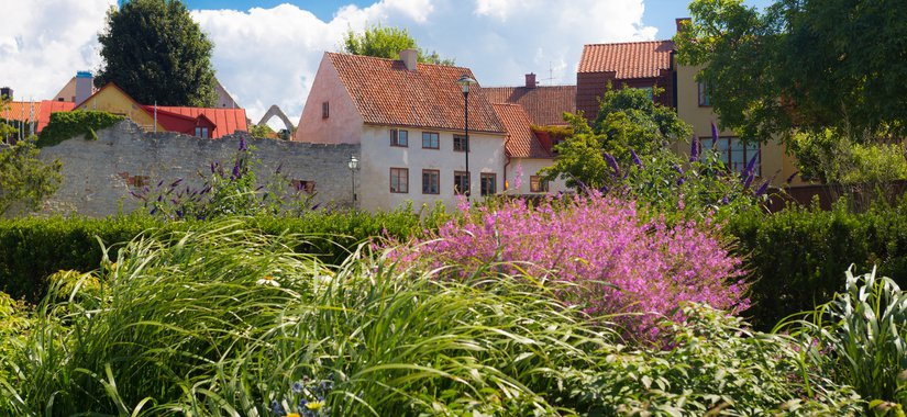 Almedalen: Hur ska du lyckas i paneldebatten?