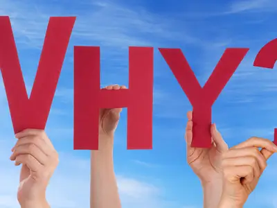 WHY?