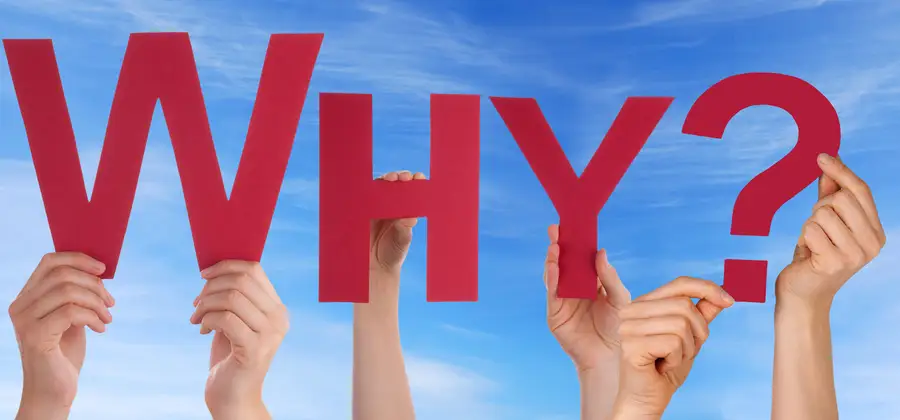 WHY?