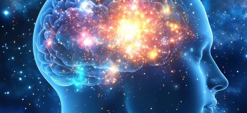 Mänsklig hjärna i digitalt ljus som symbol för AI och människans roll i framtiden