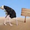 Stoppa huvudet i sanden