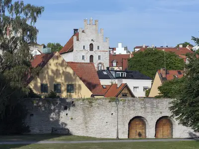 Ledarskap bortom systemgränsen