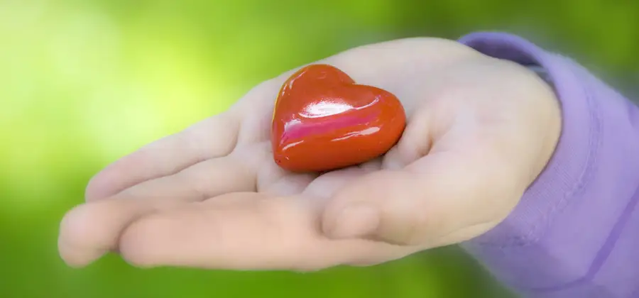 Emotionell självförståelse för ett rikare liv