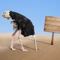 När du vet var du har dig själv, så blir det roligare. Du kan påverka, så gör det!