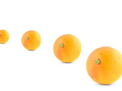 Apelsiner & konjak bättre än PowerPoint