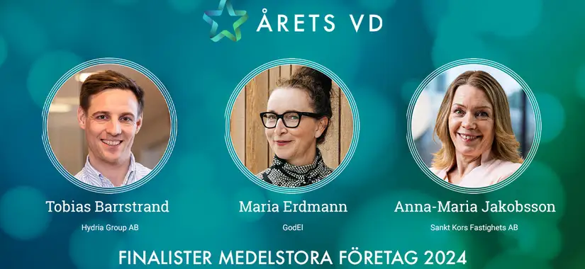 Finalister Årets VD 2024 i kategorin Medelstora företag: Tobias Barrstrand - Hydria Group AB, Maria Erdmann - GodEl, Anna-Maria Jakobsson - Sankt Kors Fastighets AB.