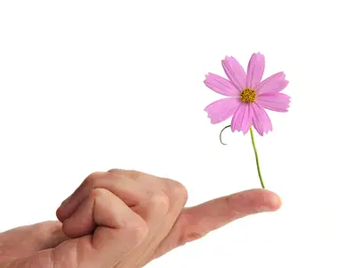 Finger, blomma och balans