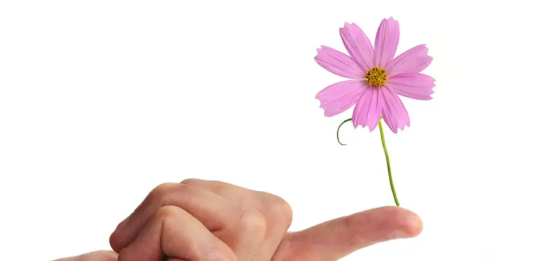 Finger, blomma och balans