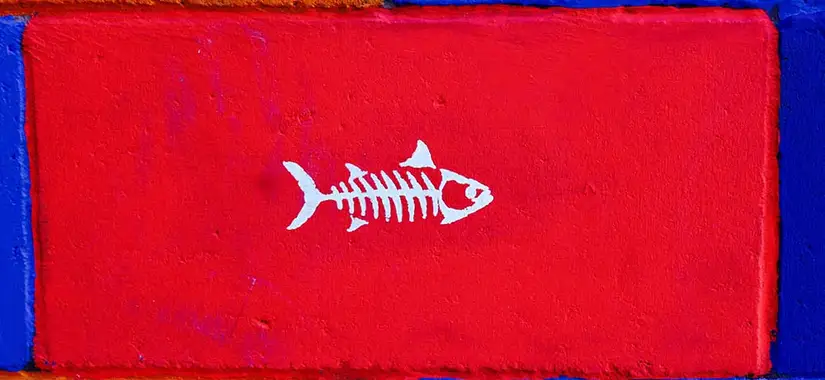 Fiskbensdiagrammet skapades av Kaoru Ishikawa för att hitta potentiella orsaker till varje specifik händelse vid misslyckanden och skapa olika kategorier för reflektion och lärande.