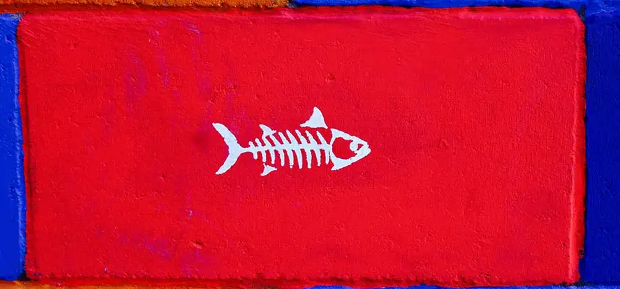 Fiskbensdiagrammet skapades av Kaoru Ishikawa för att hitta potentiella orsaker till varje specifik händelse vid misslyckanden och skapa olika kategorier för reflektion och lärande.