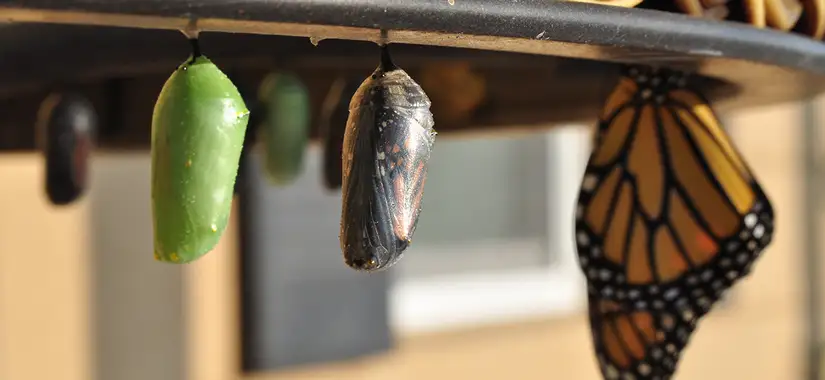 En form av förändring.