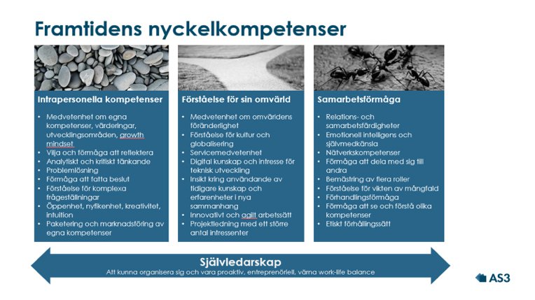 Framtidens nyckelkompetenser