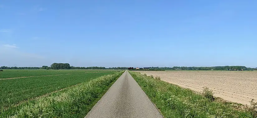 GPS:en säger ”sväng höger”, men när du tittar ut genom bilrutan ser du bara en åker.