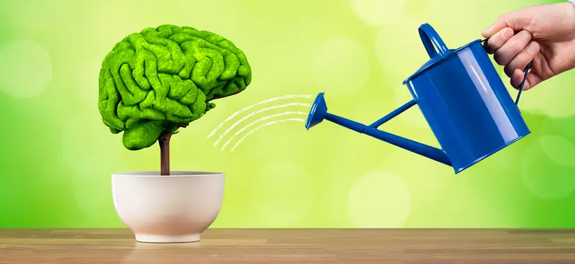 Hur kan du stärka din mentala resiliens just nu?