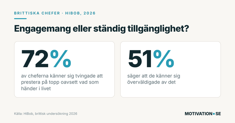hibob-chefer-statistik-ljus