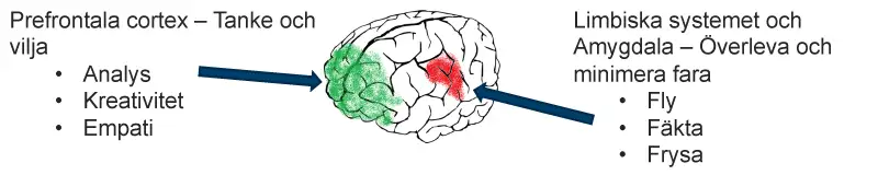 Unknown photo imported from Drupal