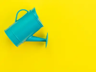Innovationsledarskap identifieras som en nyckelfaktor bakom många nya organisatoriska framgångshistorier.