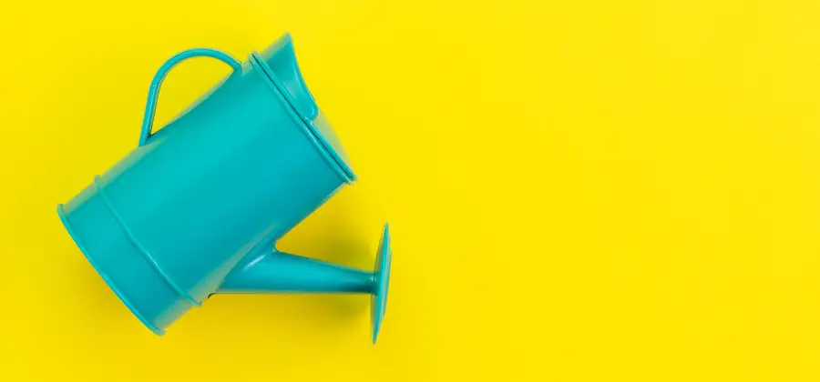 Innovationsledarskap identifieras som en nyckelfaktor bakom många nya organisatoriska framgångshistorier.