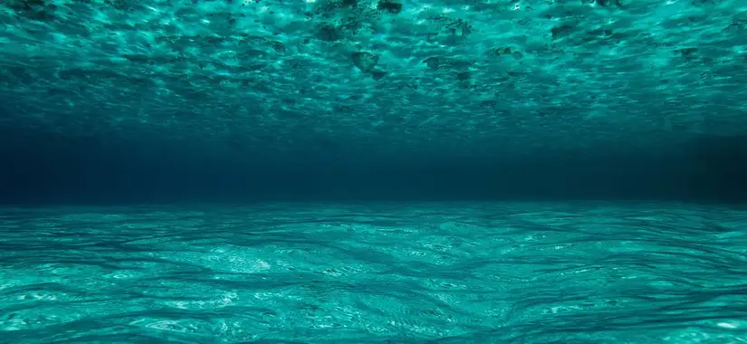 Vi behöver kunna se det som är att se när vi skall ta bra beslut.