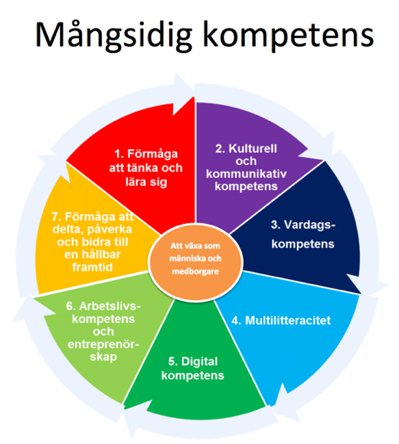 Mångsidig kompetens