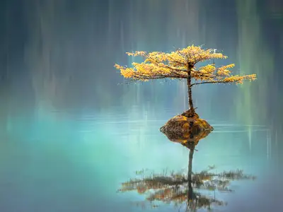 Bäst fungerade olika typer av psykologisk träning, exempelvis mindfulness och kognitiv beteendeträning.