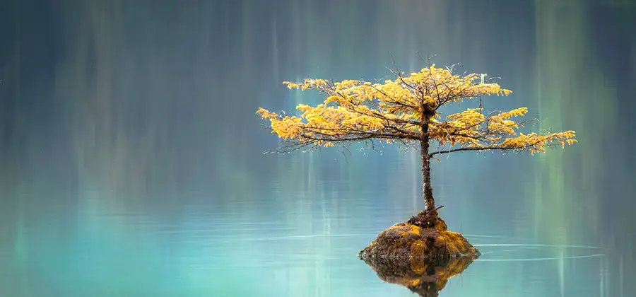 Bäst fungerade olika typer av psykologisk träning, exempelvis mindfulness och kognitiv beteendeträning.