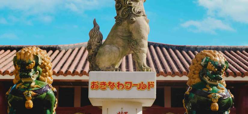 I Okinawa, en av världens blå zoner där många lever till 100+, är ikigai en självklar del av vardagen.