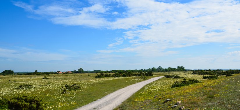 Öppna landskap, HR