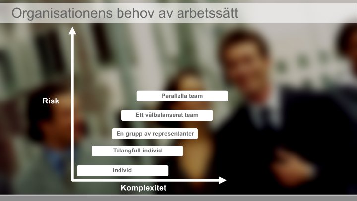 Organisations behov av arbetssätt.