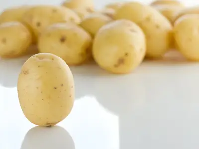 Potatis
