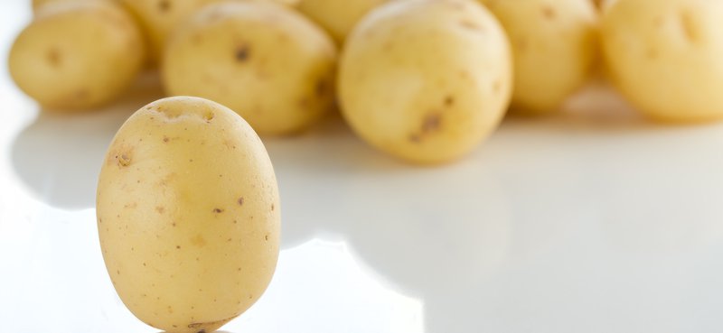 Potatis