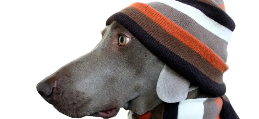 Hur ser du ut egentligen?