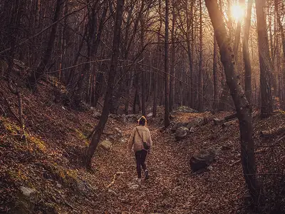 Ta en höstpromenad. Genom agerande bryter vi mönstret där negativa känslor håller oss tillbaka.